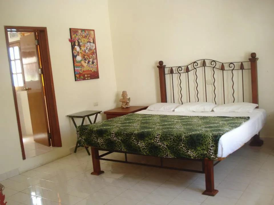 Beachouse Dive Hostel Cozumel