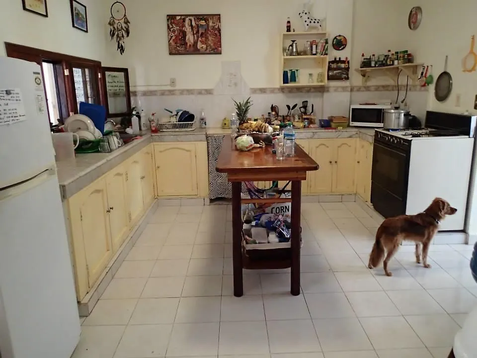 Beachouse Dive Hostel Cozumel