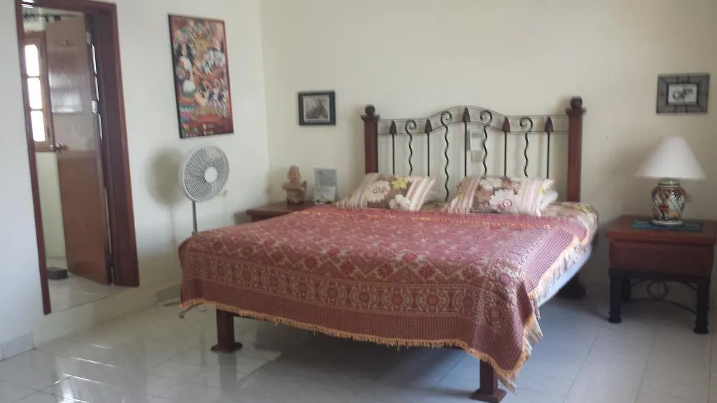 Beachouse Dive Hostel Cozumel 0*,